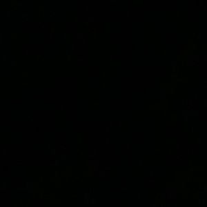 Meet your Posher, Ray